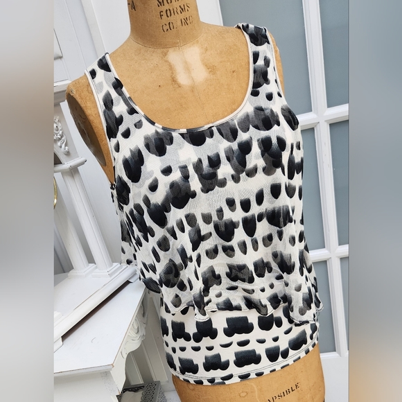 Sexy Sheer Layered LYNN RITCHIE SILVER Printed Tank Adorable EUC - Picture 3 of 8